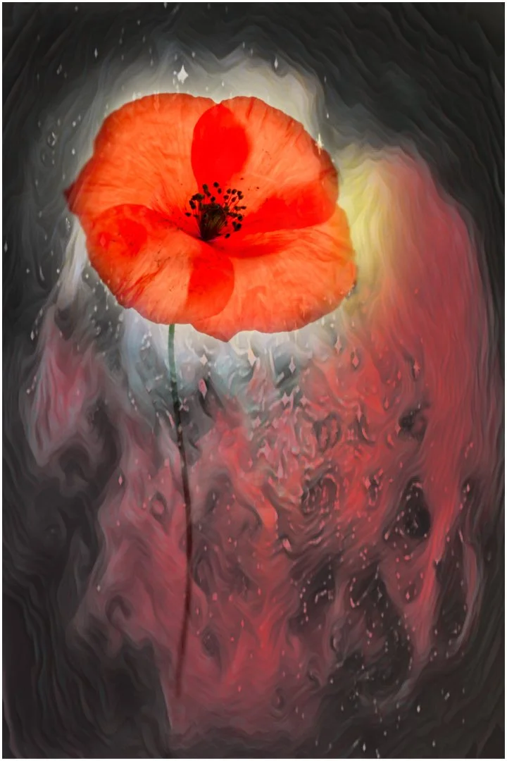 Flanders field - David Cowling