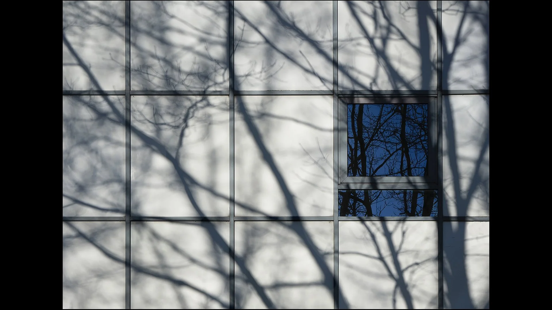 THIRD - Shadows and Reflections - Paul Colella