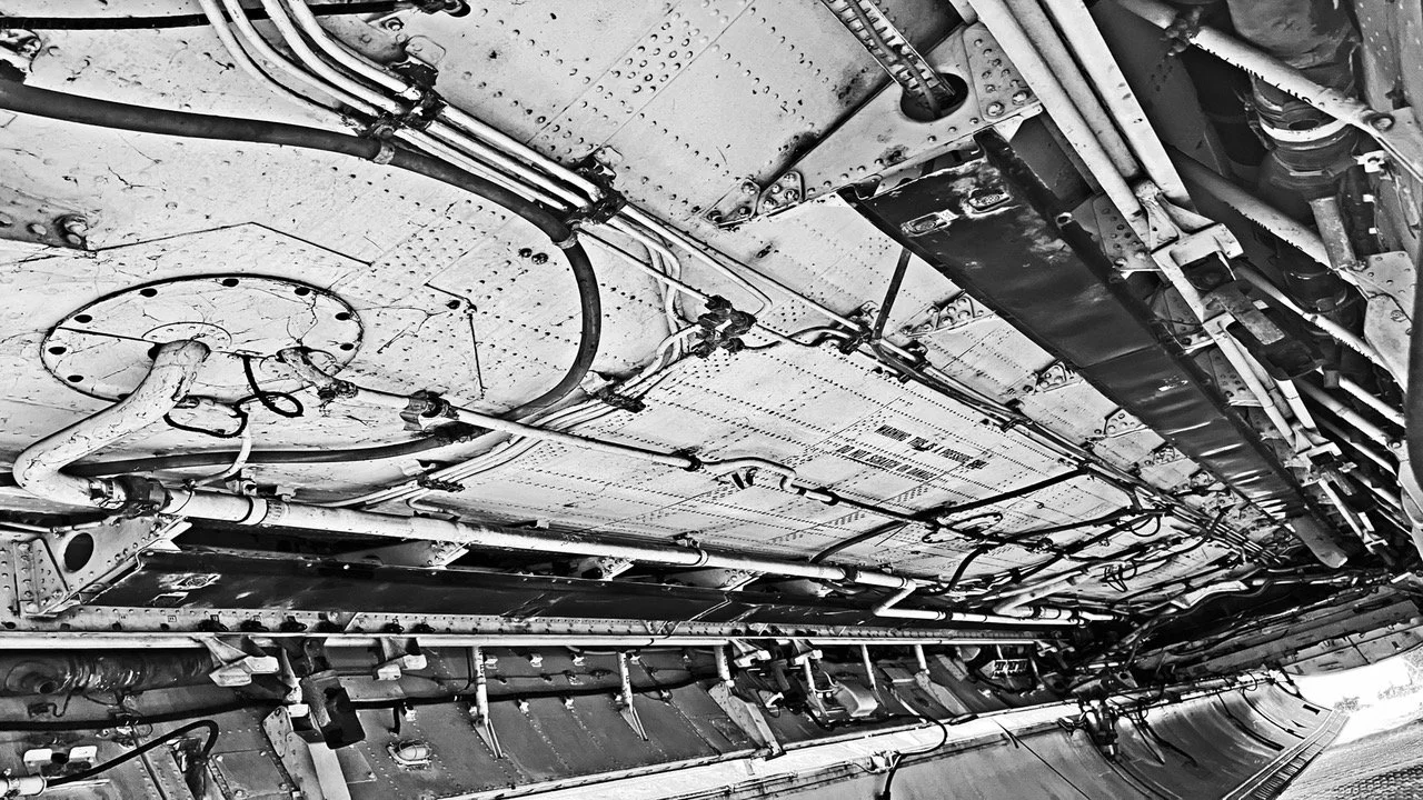 Nimrod Peter Nicholls