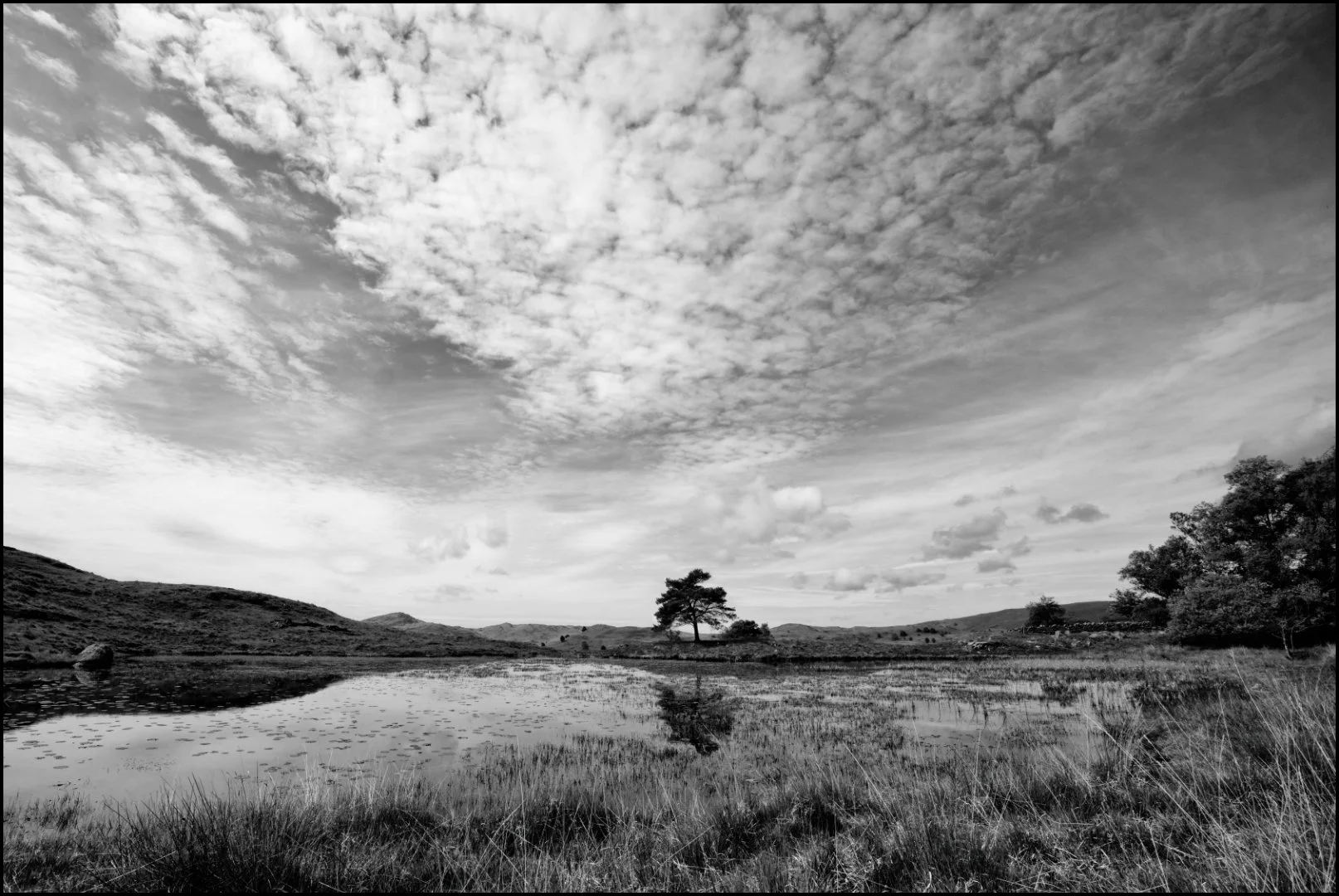 Kelly Hall Tarn - RUNNER UP - Sue Evans ARPS