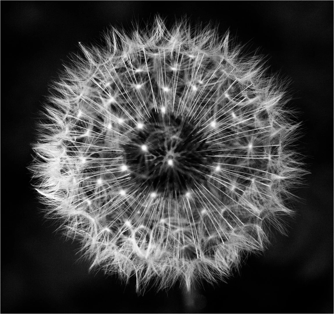 Doon Head Clock - RUNNER UP - Teresa Chaudy Brain