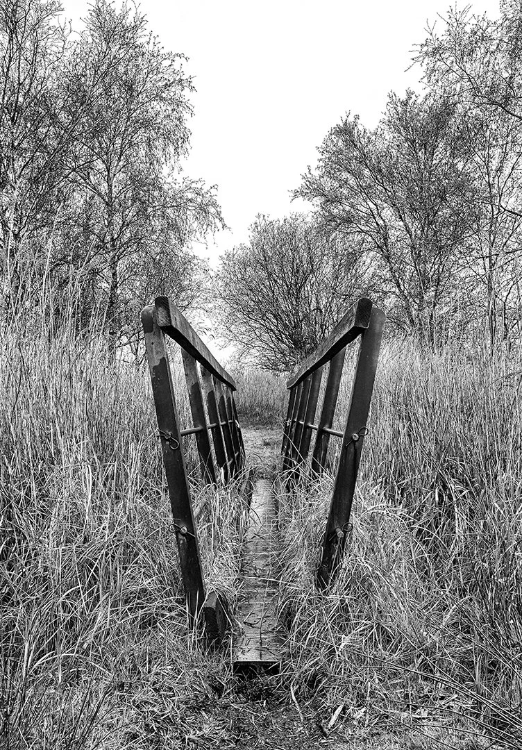 Narrow Footbridge - WINNER - Paul Colella