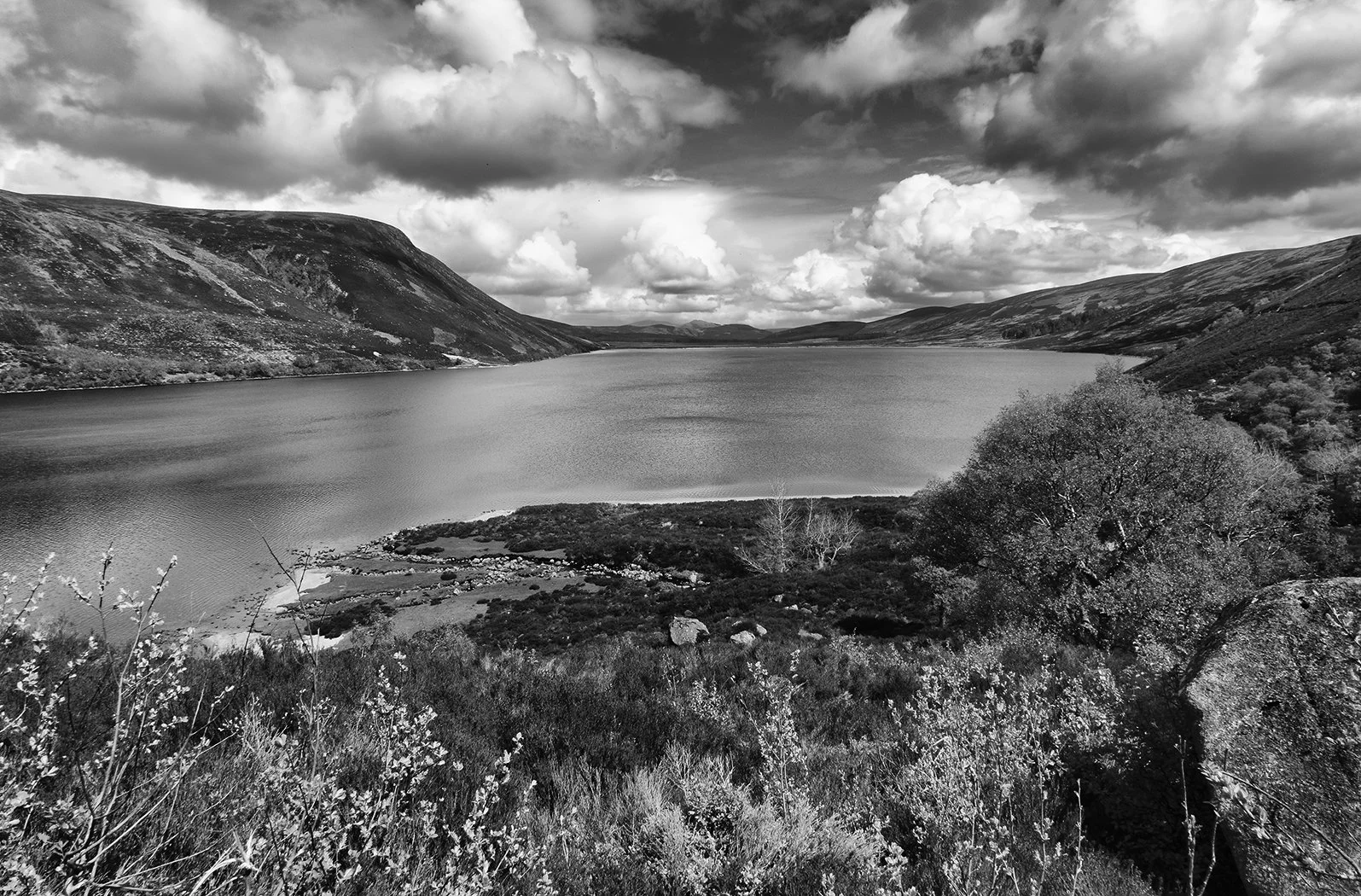 Runner Up Loch Muich Aberdeenshire Richard Courridge