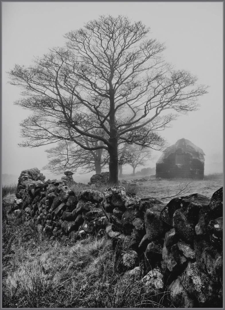 Runner Up The Roaches In The Mist Gillian Denny