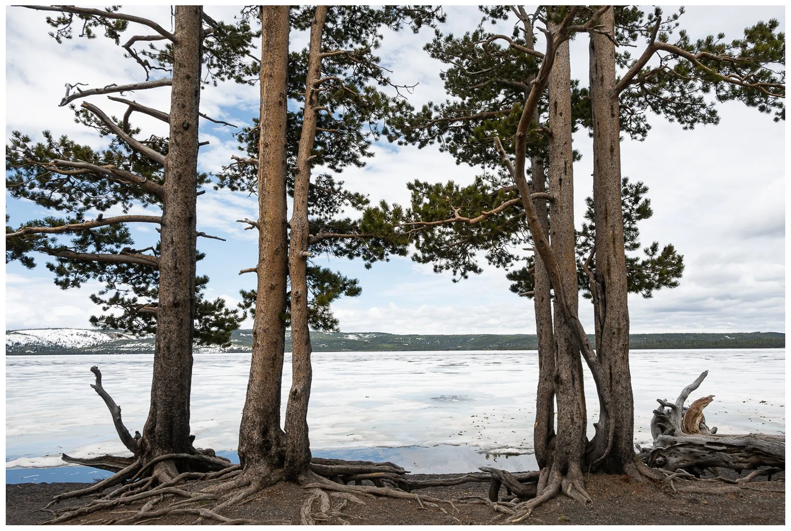 Lewis lake - Sandy Cowley