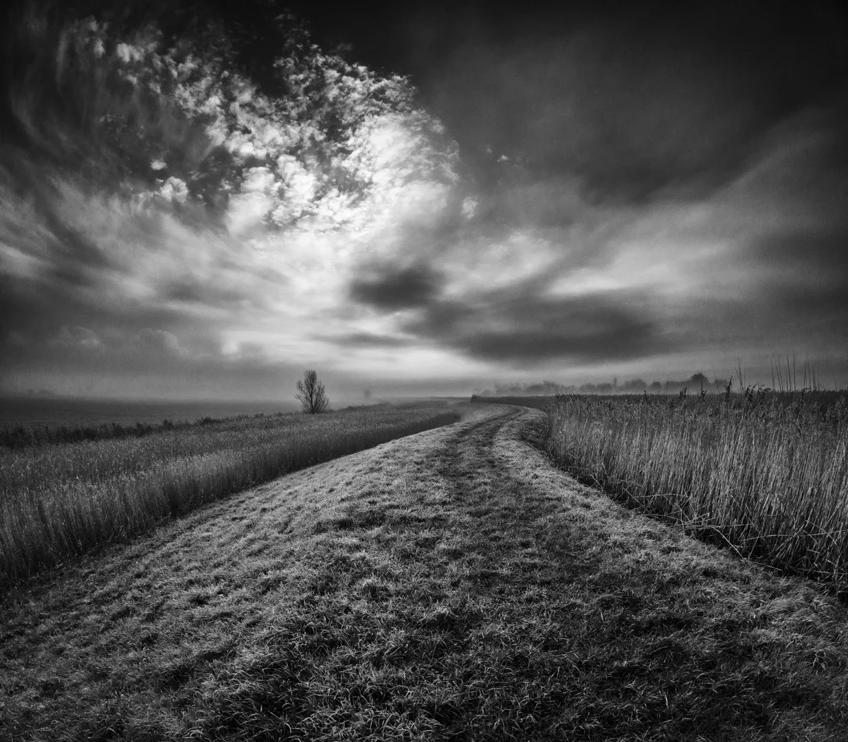 Runner Up Marsh Louise Dolan