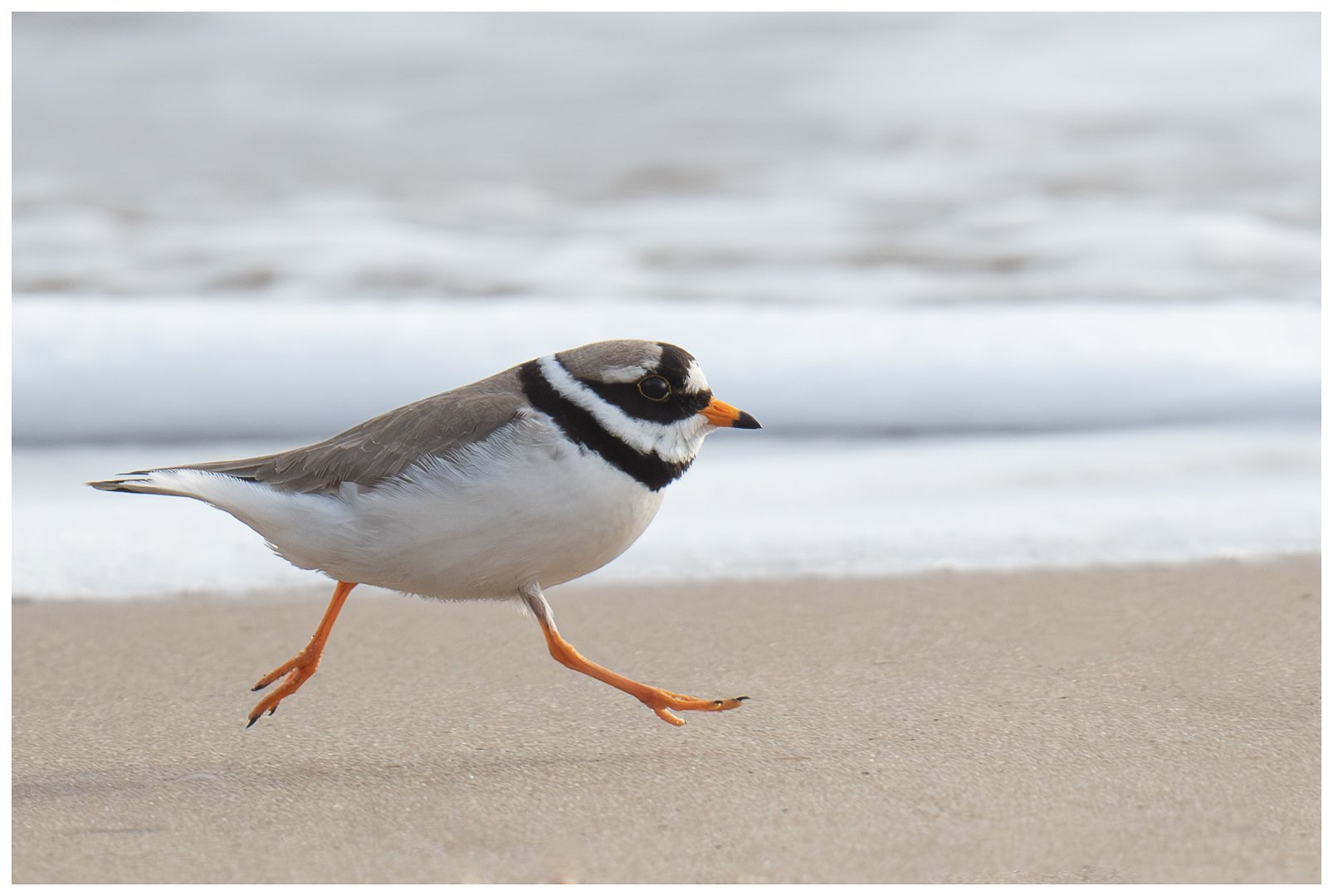 SC_Walking on Air!.jpg