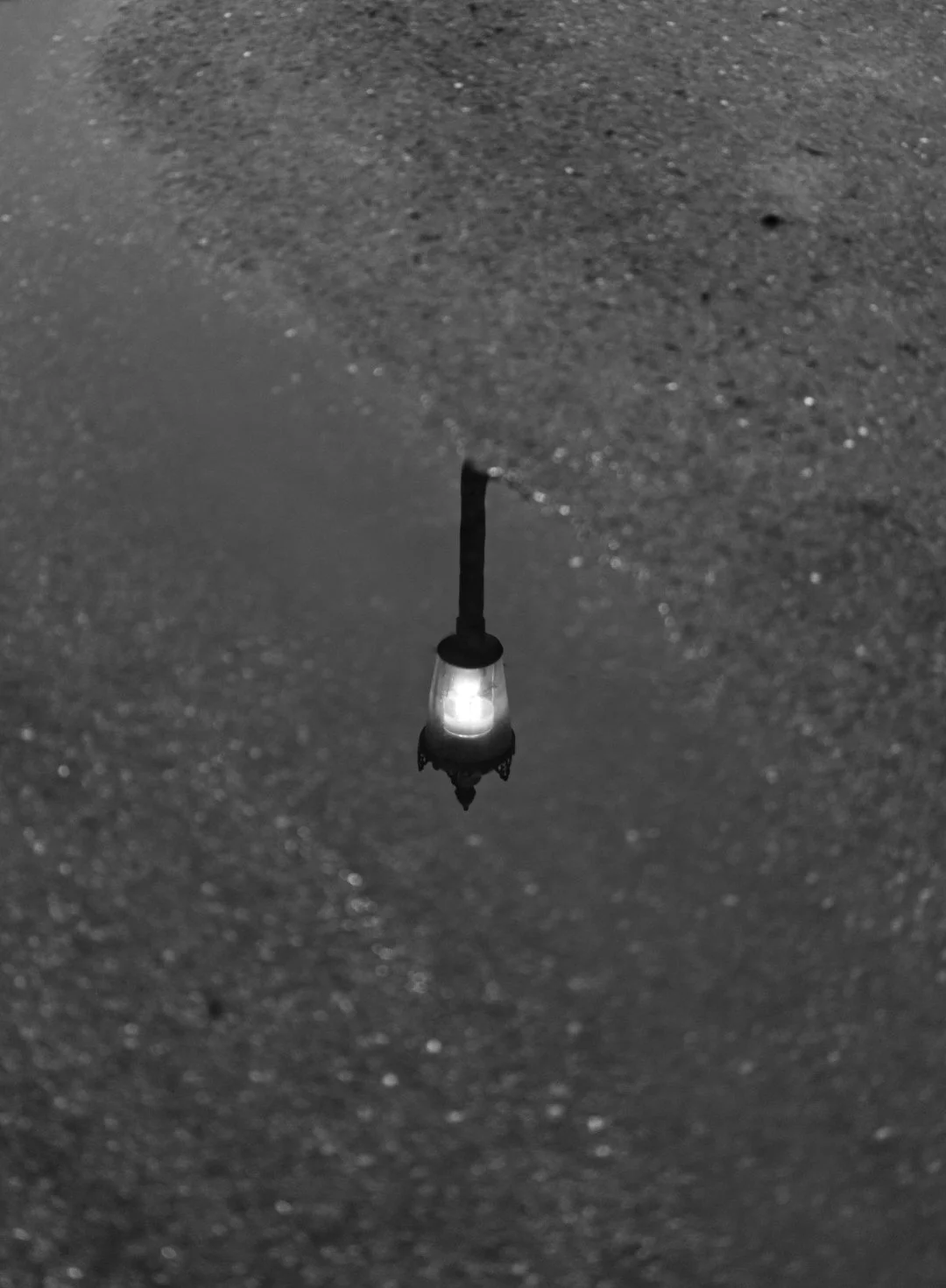 Street light - RUNNER UP - Paul Jones