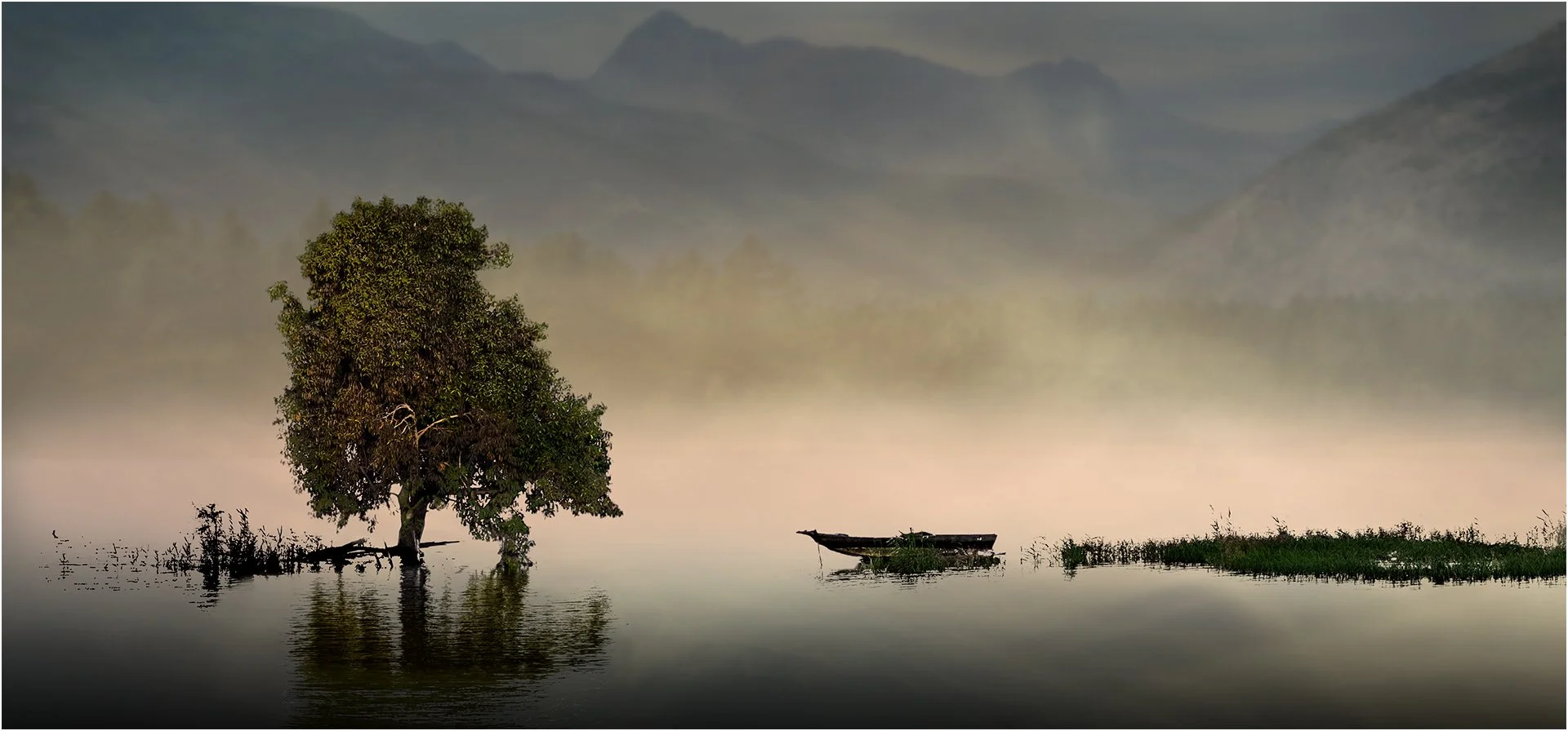 Winner Stillness In The Mist Steve Knight