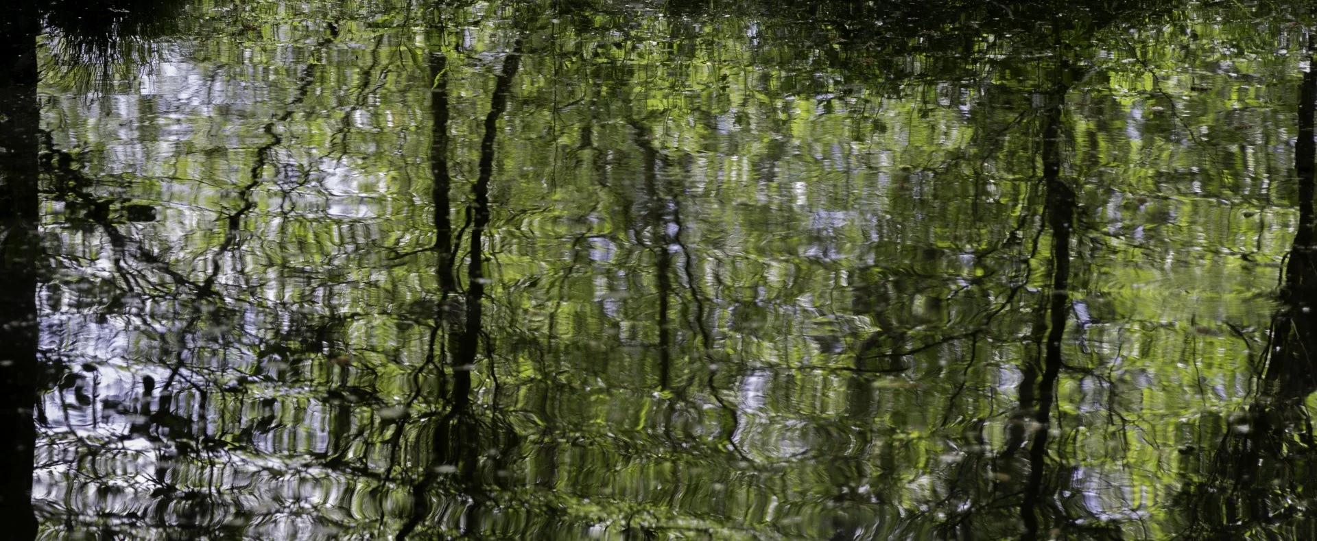 Reflections Debbie Flowerdew