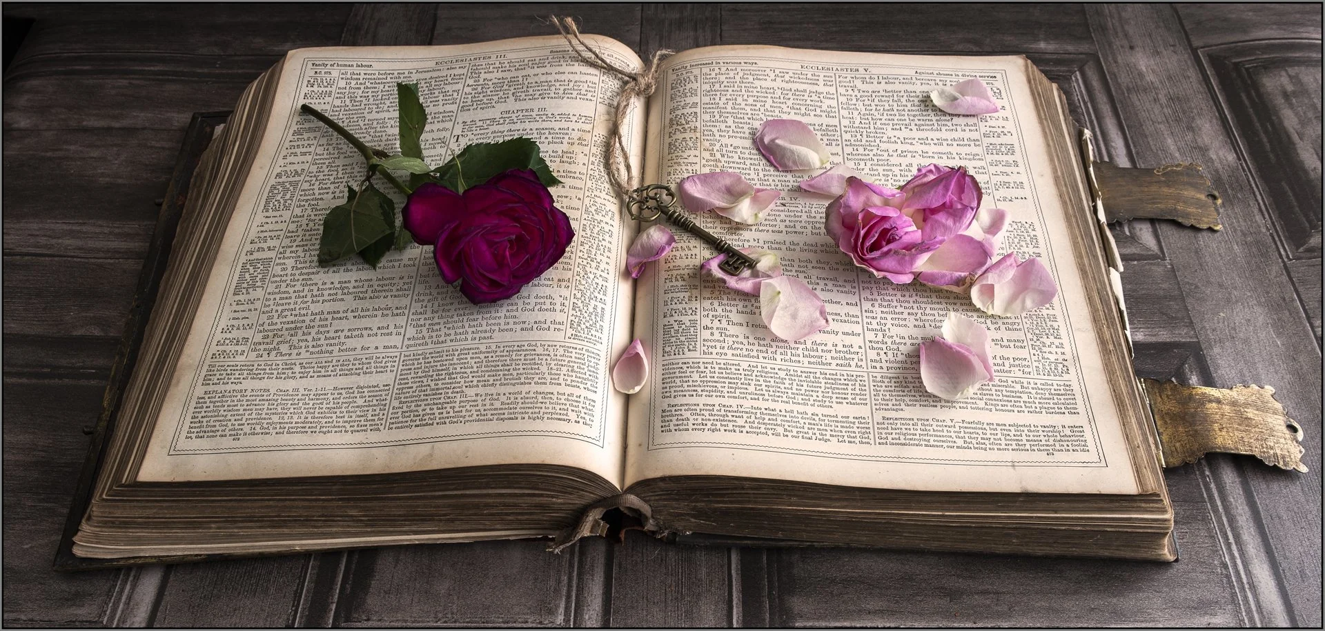 Open book - Hazel Farrow