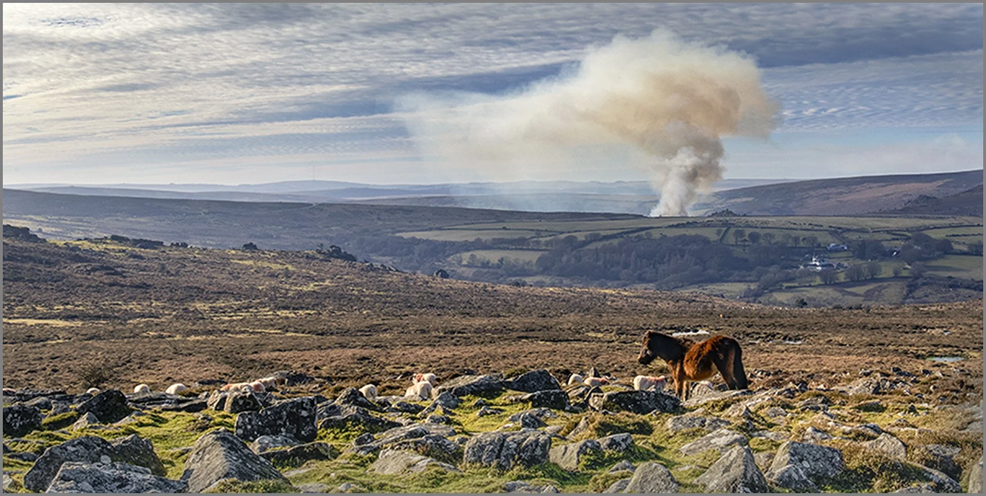 Pony & Smoke - Gillian Denny