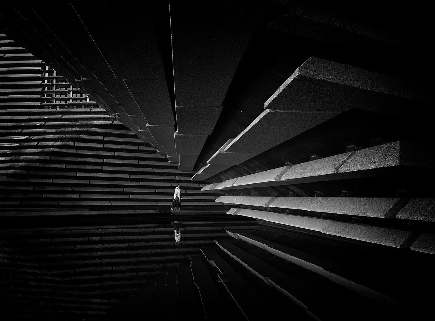 3Rd Place The Pedestrian Richard Courridge