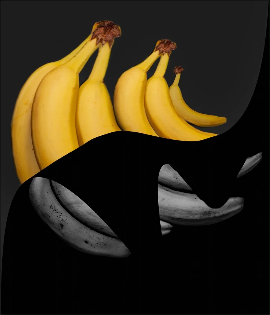 Revealing the Colour - 2nd RUNNER UP - Margaret Churchill