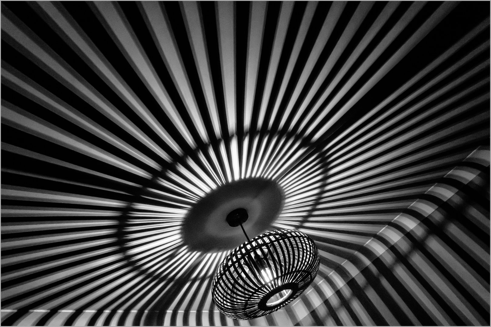 Runner Up. Caged Shadows. Teresa Chaundy-Brain