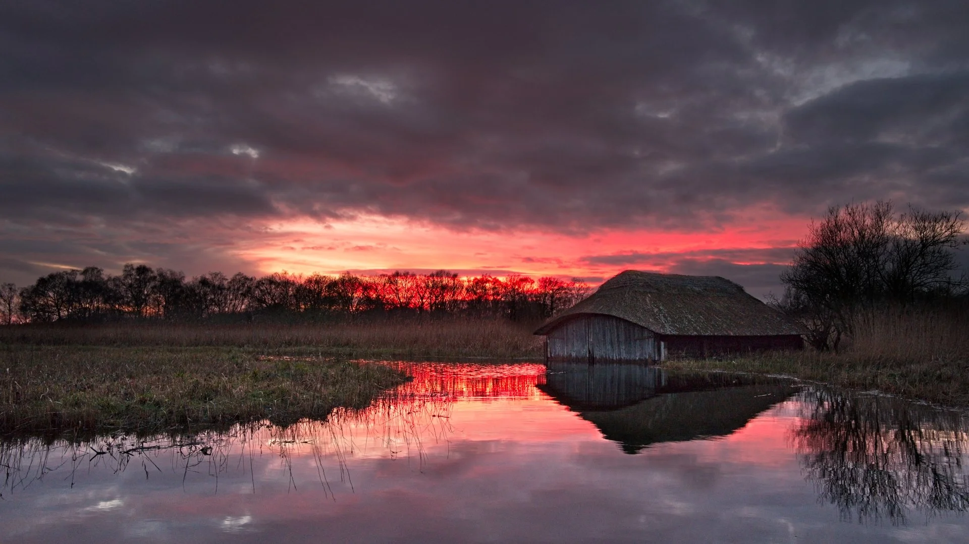 After the Storm - Laurence Kothari