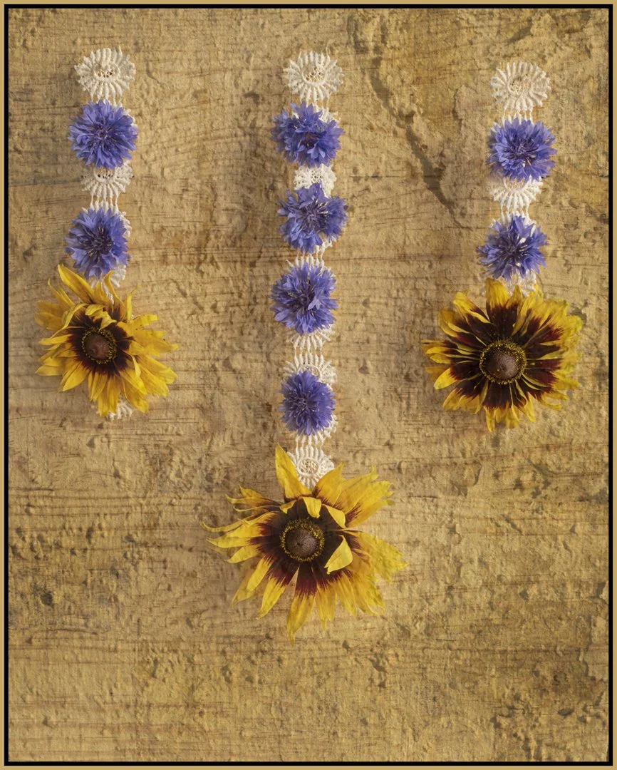 Summer Florals - Hazel Farrow LRPS