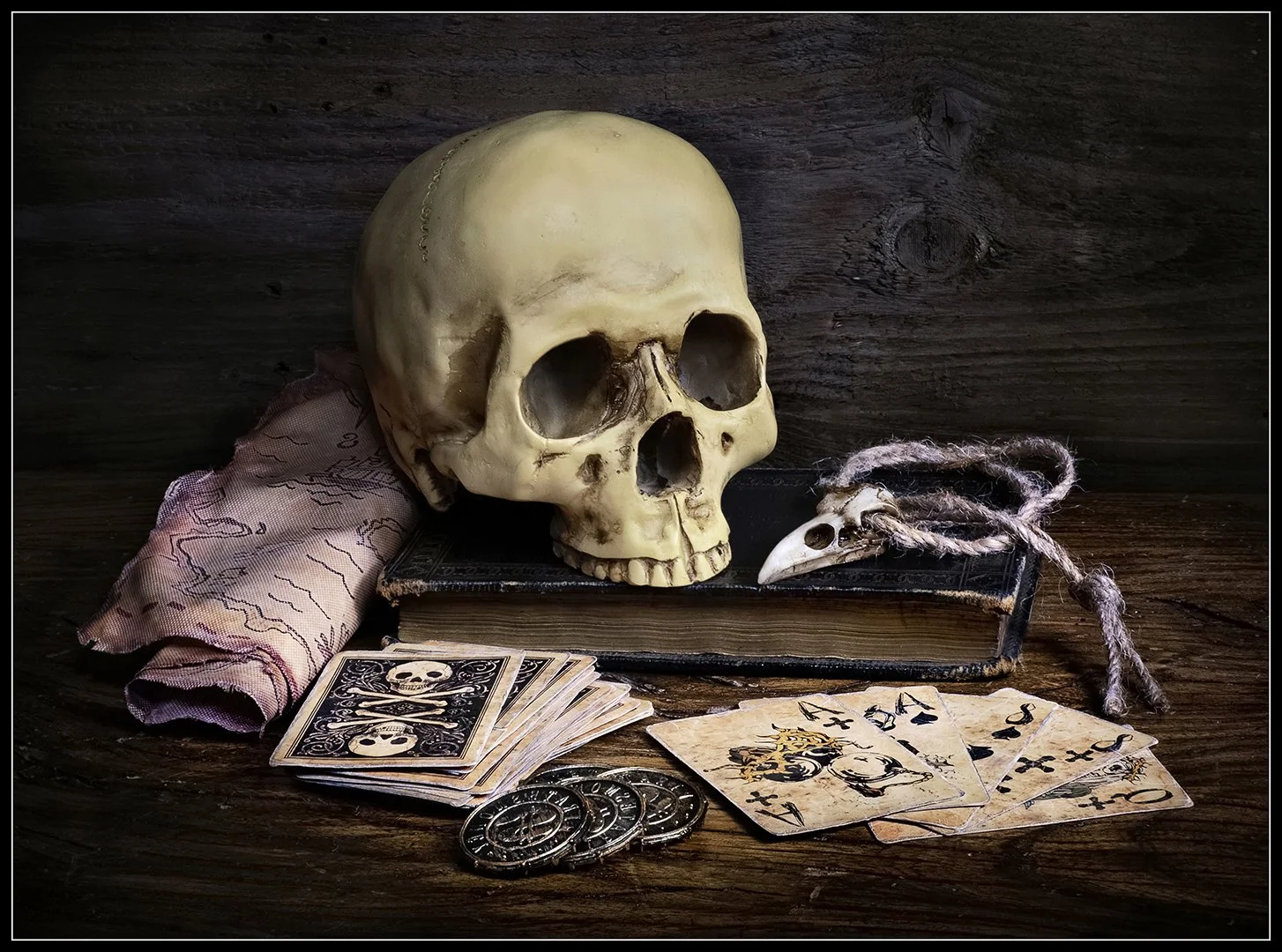 Still Life Paul Colella