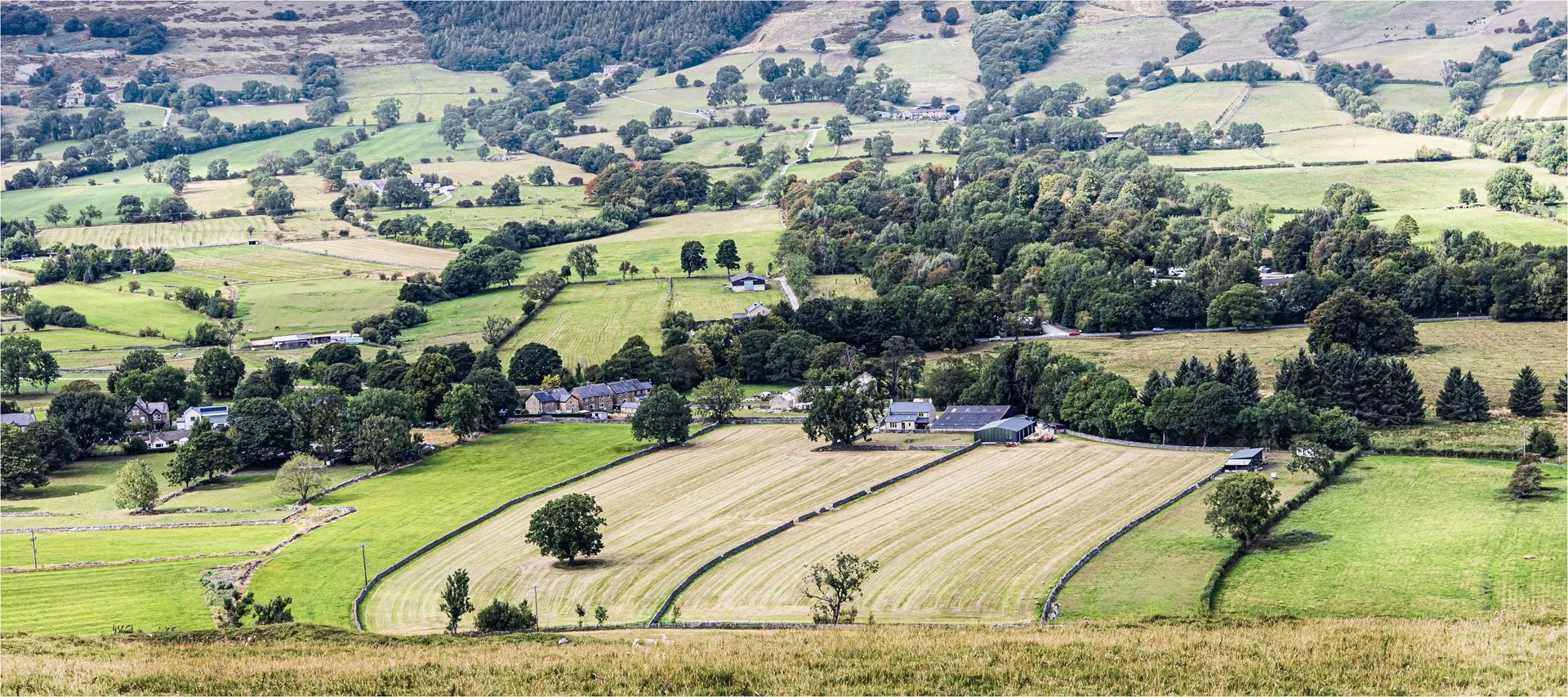 Casleton Teresa Chaundy-Brain