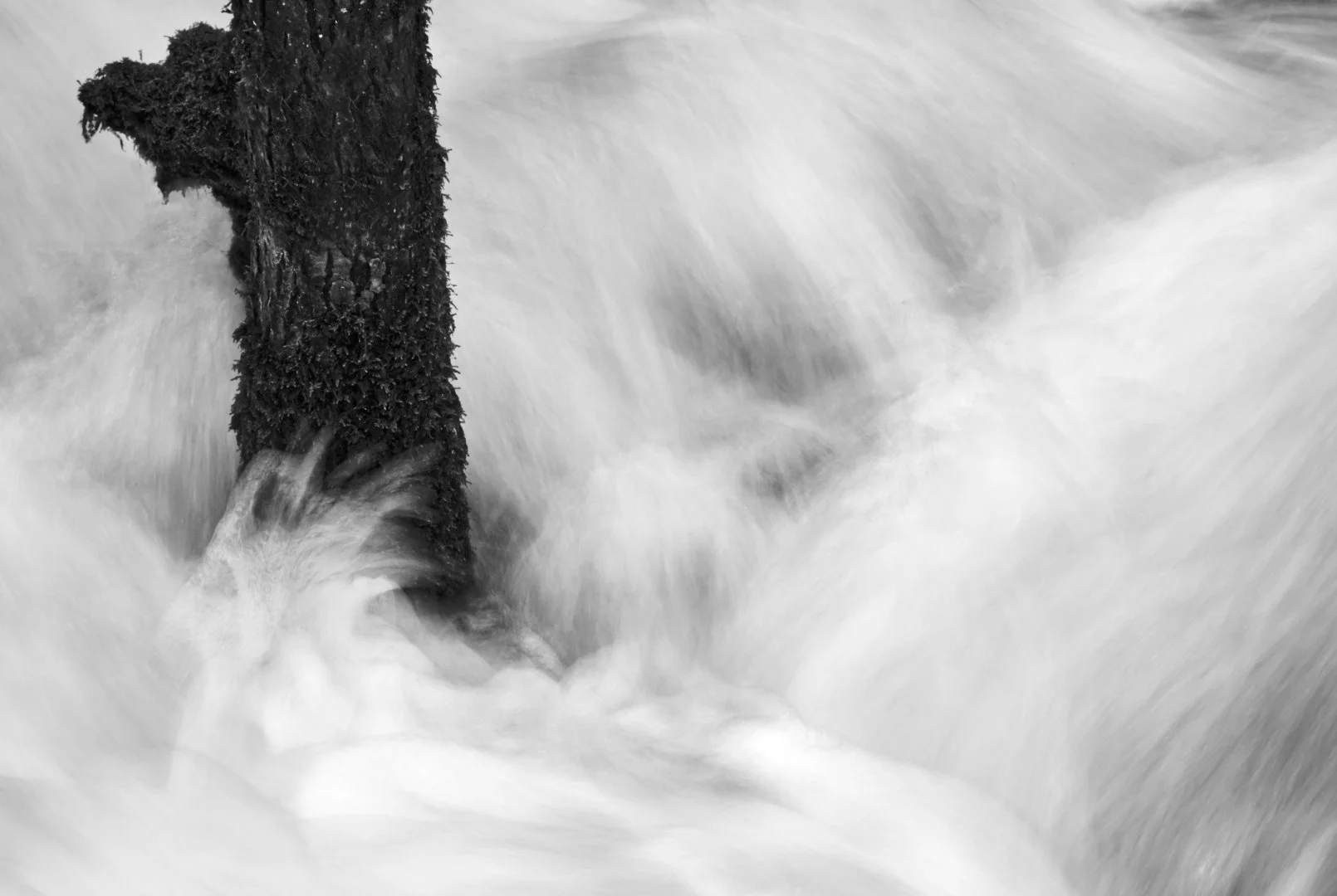 The Power of Water - Sue Evans