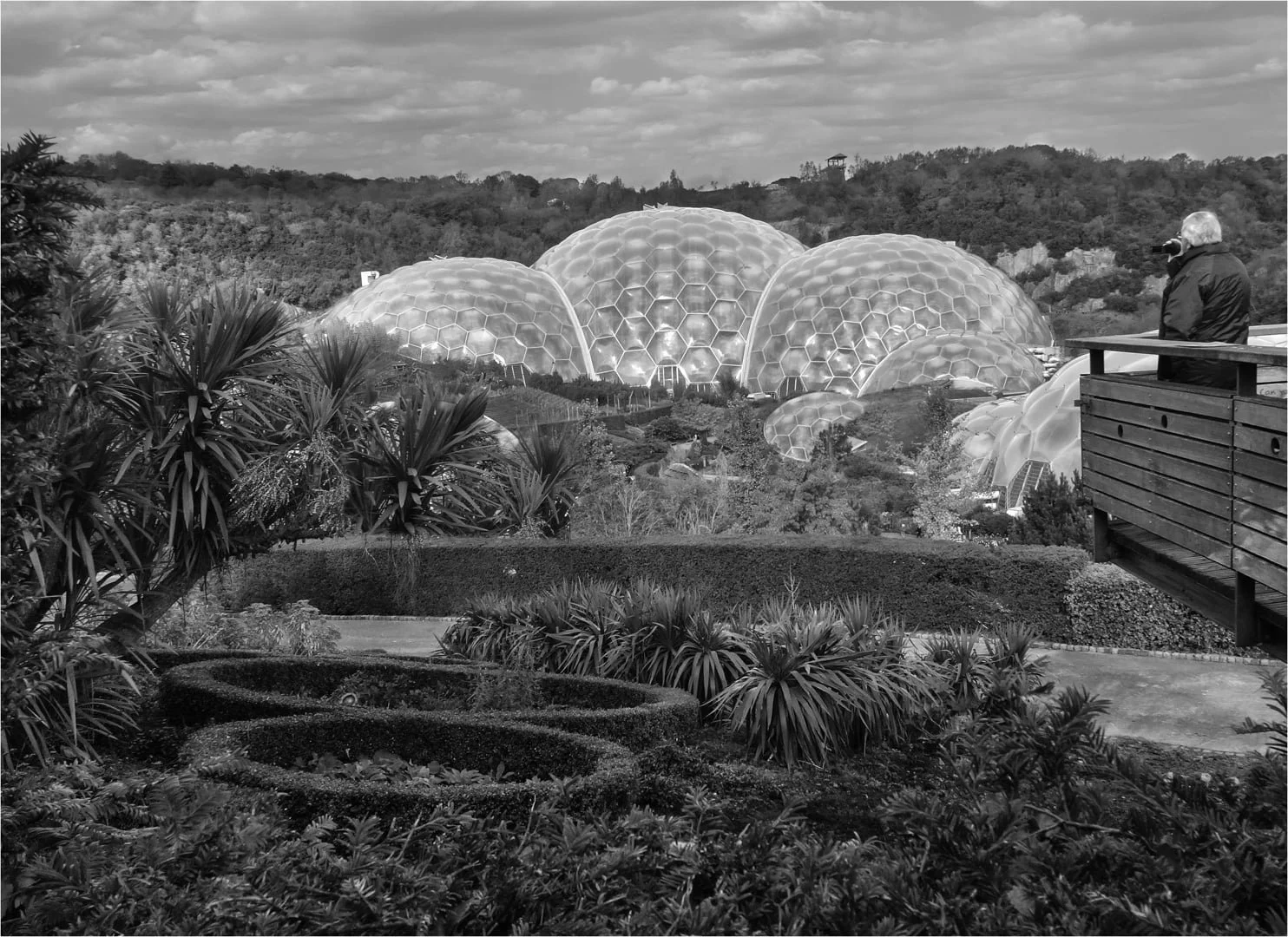 Eden Project - Margaret Churchill