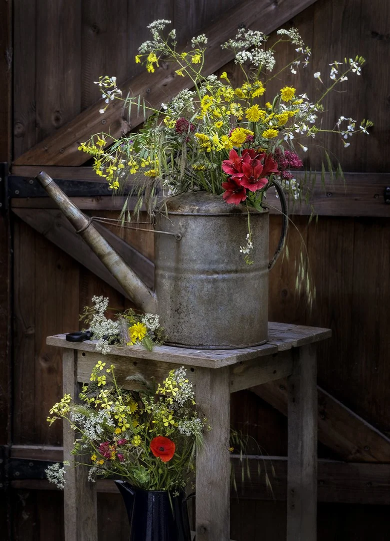 Wild flowers and watering can - Mike Chaplin