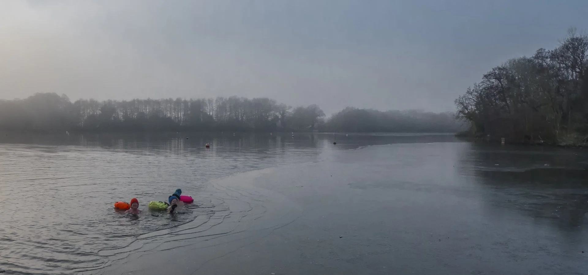 Swimming in Ice - Louise Dolan