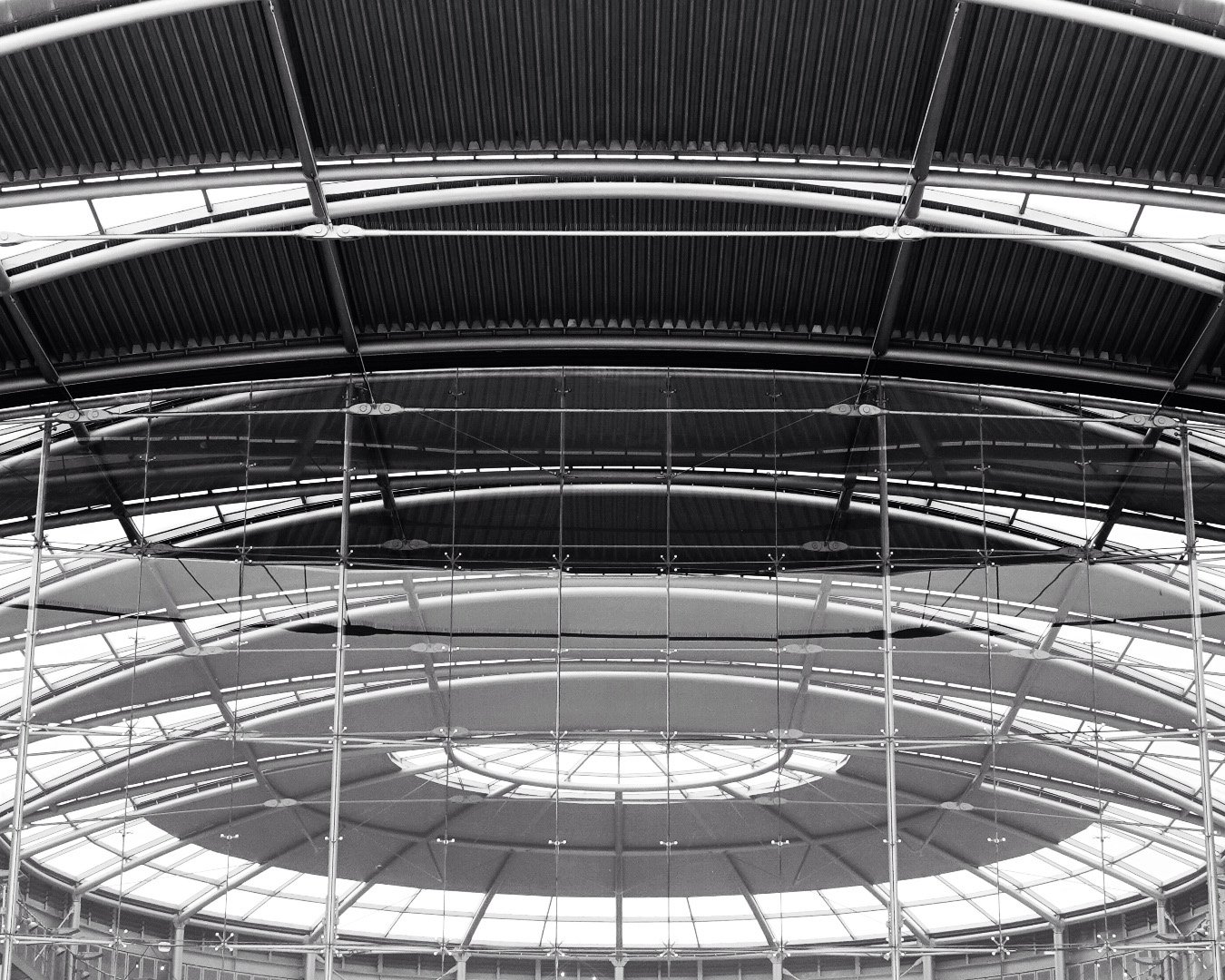 Forum Symmetry Steve Holmes