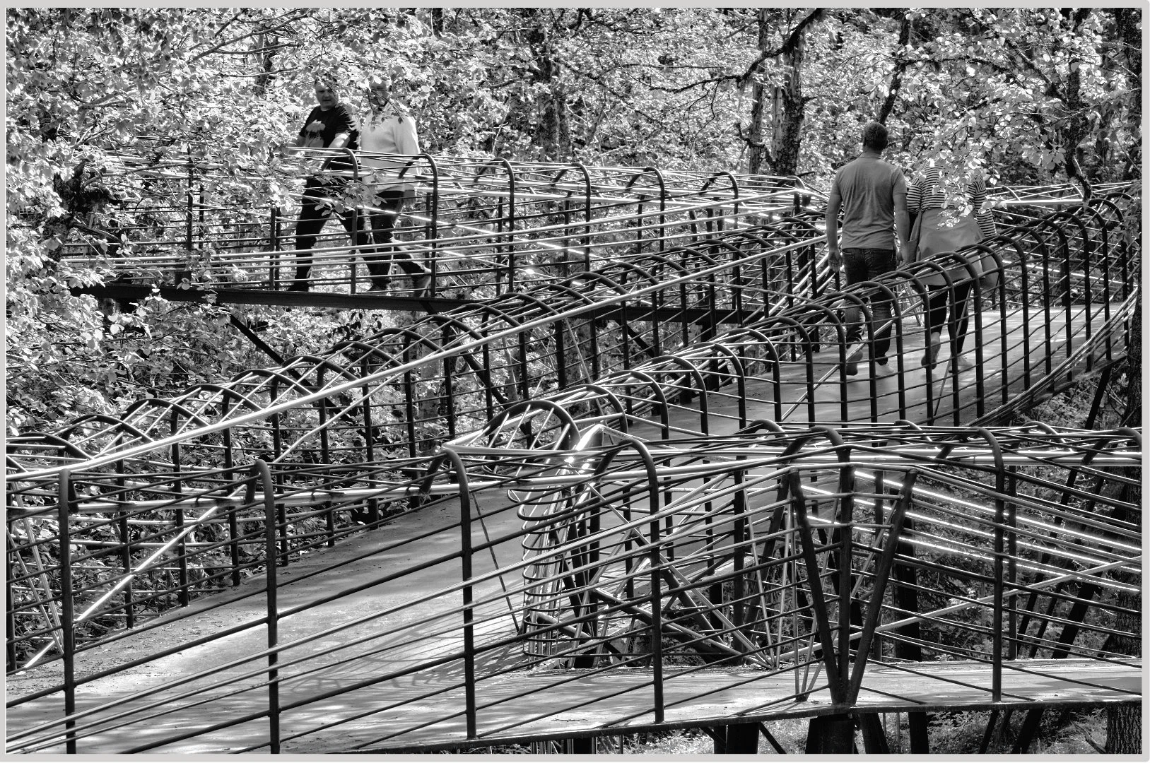 Zig Zag Walkway - Gillian Denny