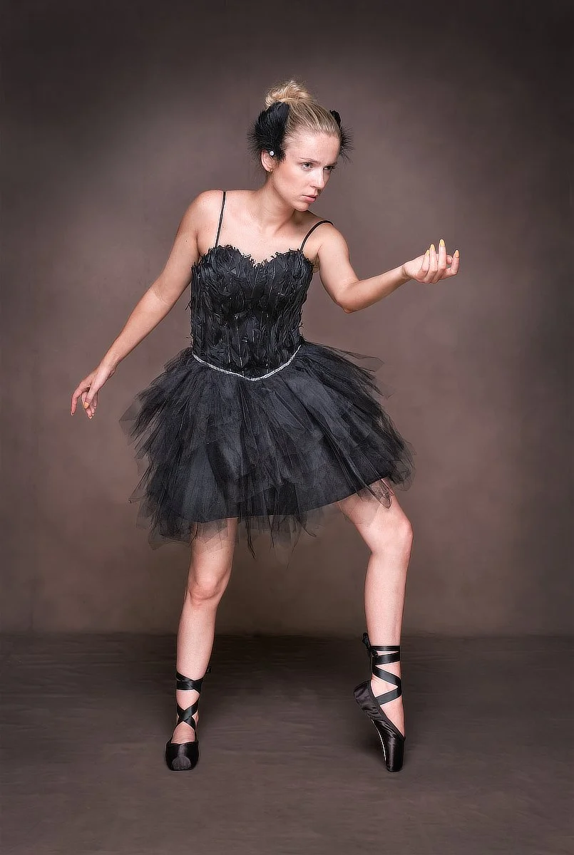 Swan Lake Image 1 Sue Evans ARPS/CPAGB/LSINWP/BPE1