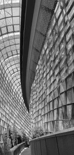 Sequence 5 Debbie Flowerdew