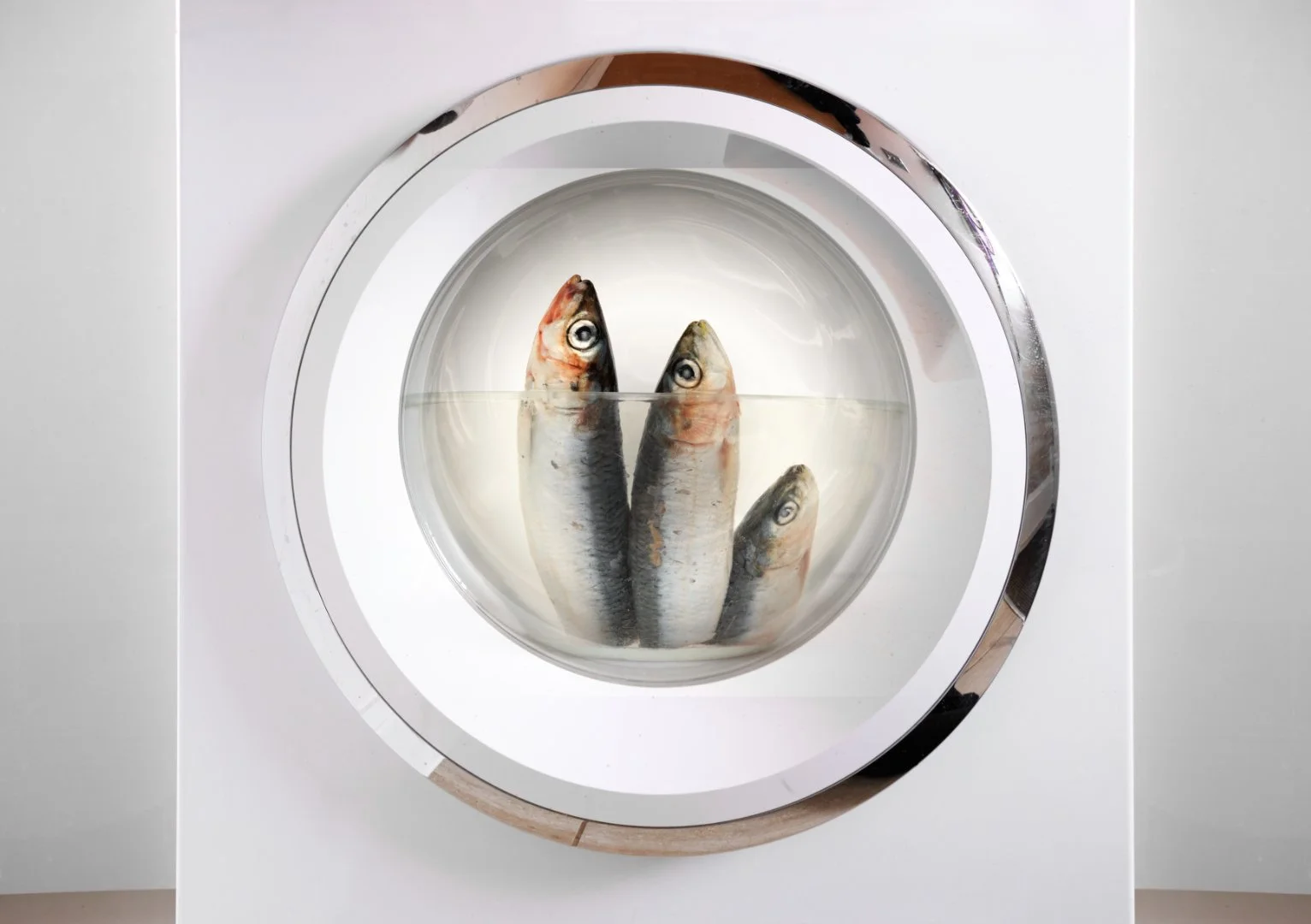 Cold Wash Only - Sue Evans ARPS 