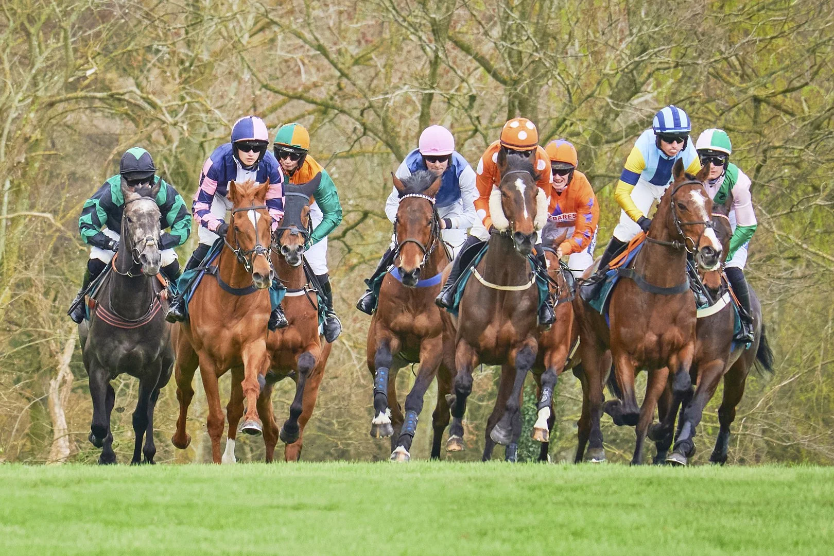 And they're off - Sandy Cowley