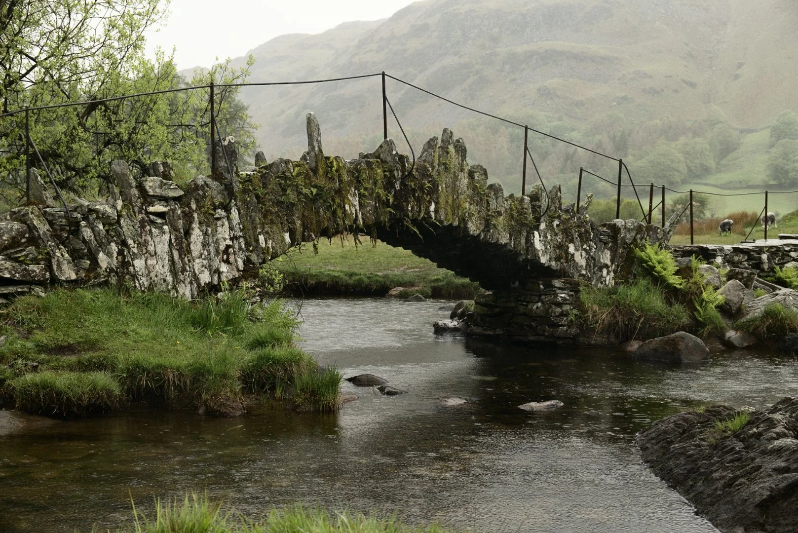 Runner Up Slaters Bridge Gillian Denny