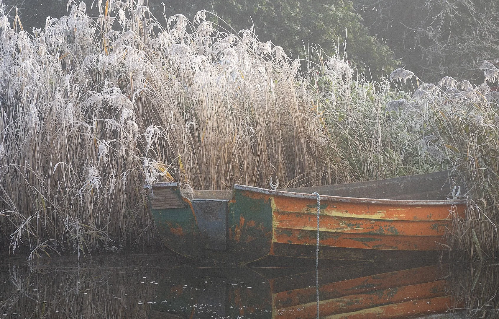 Cold Harbour - Richard Courridge