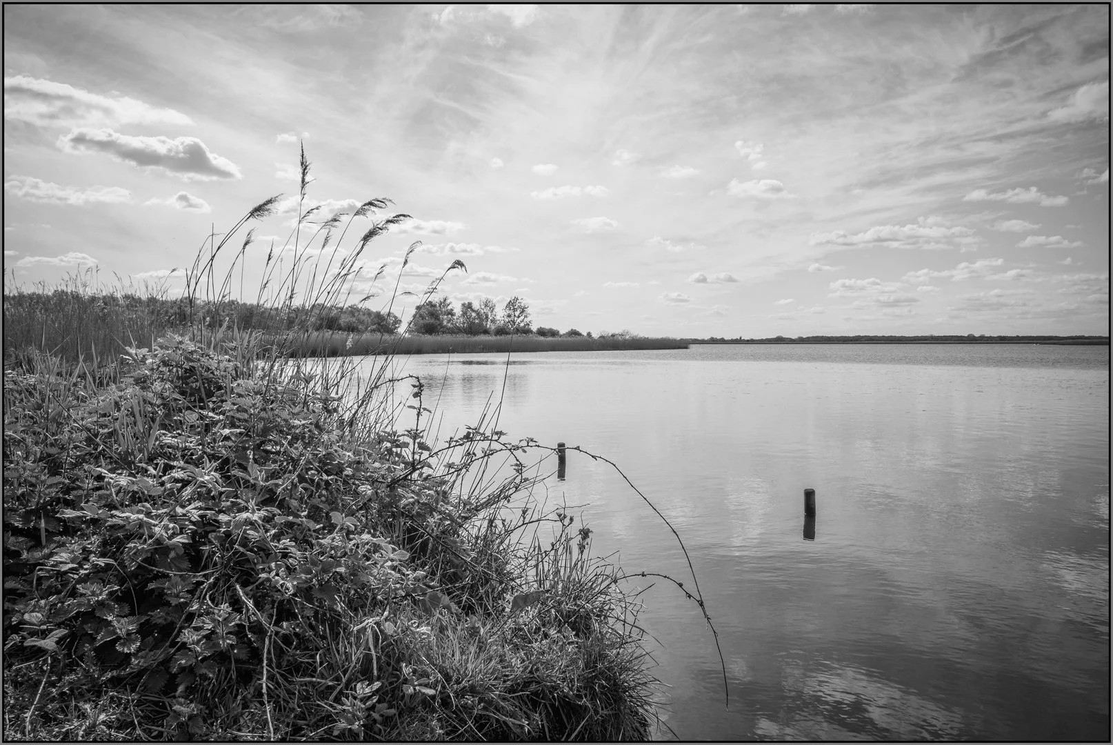 Exploding sky - Gillian Denny