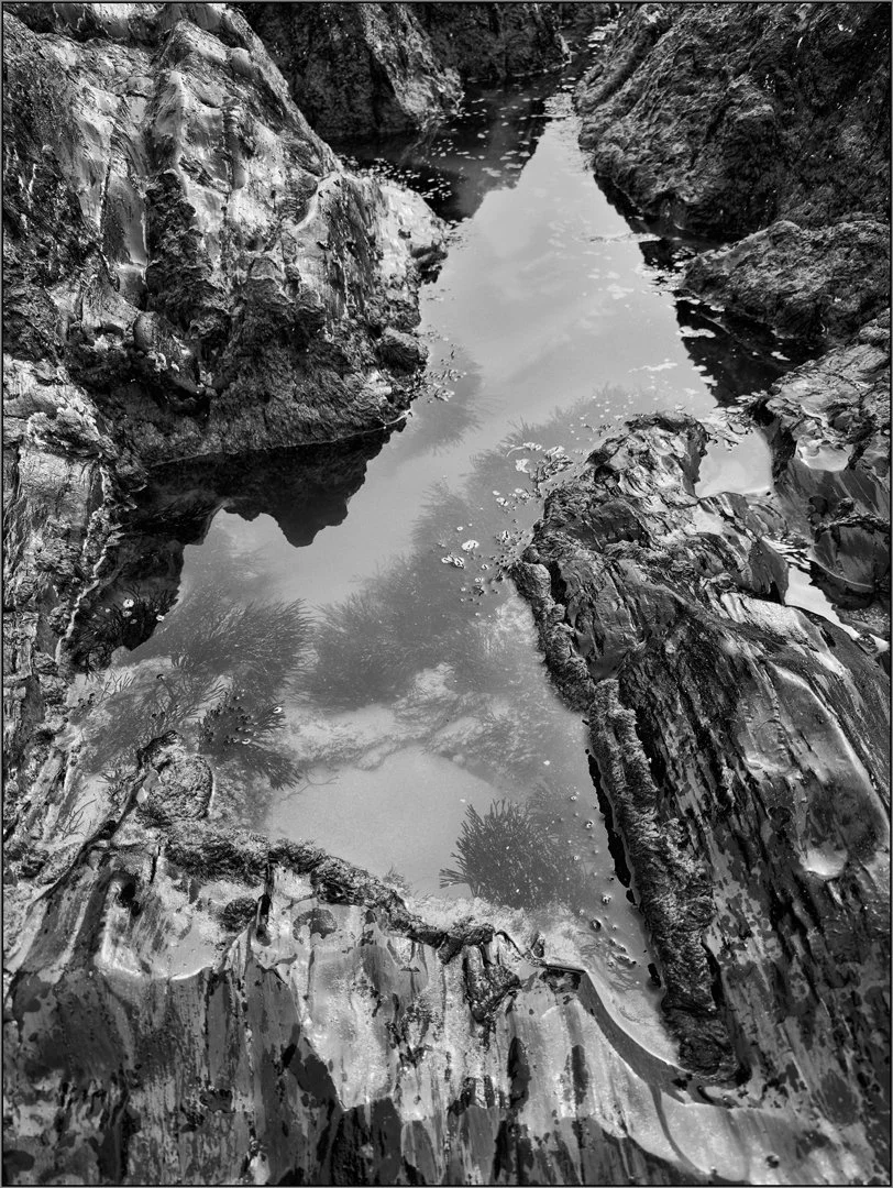 Tide Pool Hazel Farrow LRPS