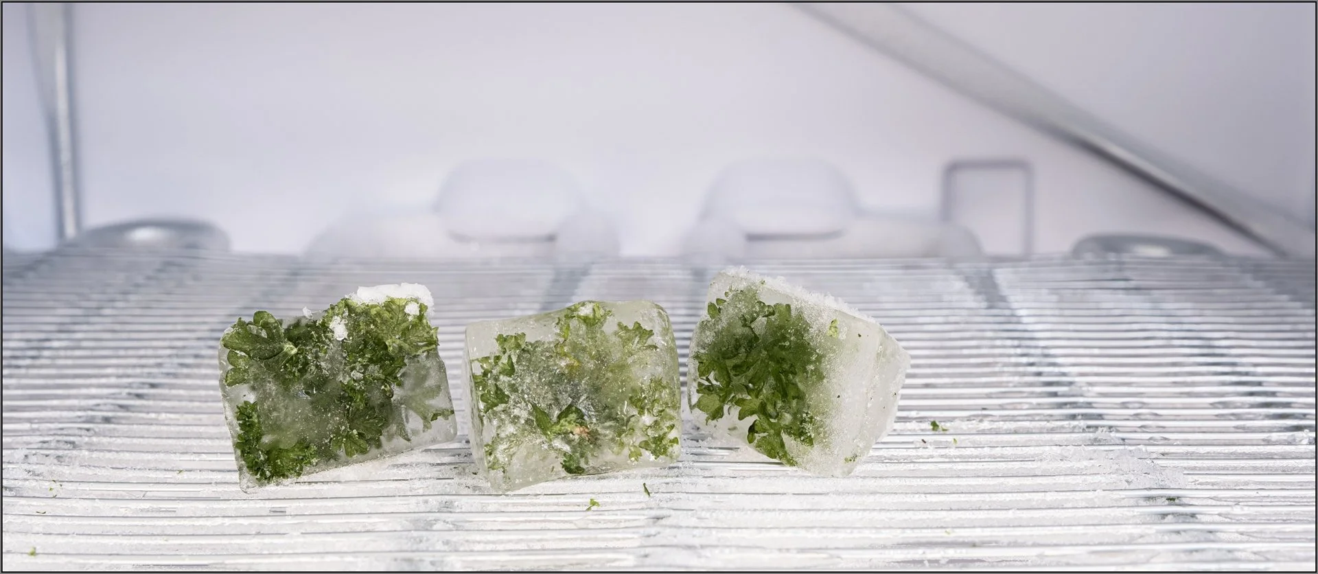 Preserved - Hazel Farrow LRPS