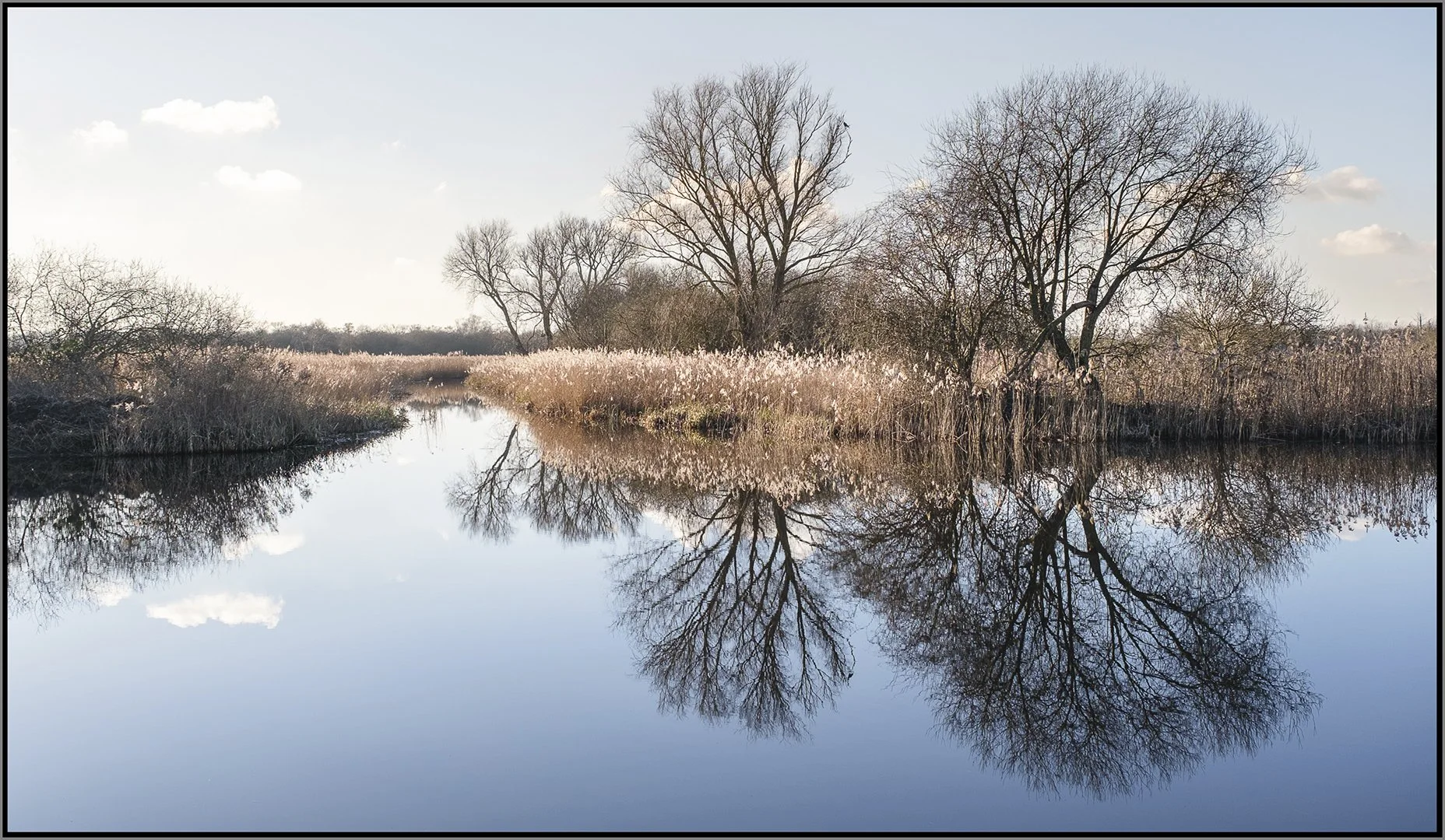 Winter hues on the river ant - Jennie Mursell