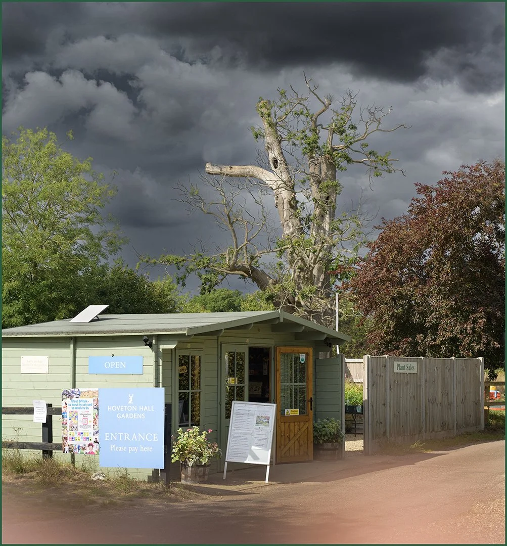 Looks Like Rain Jennie Mursell LRPS