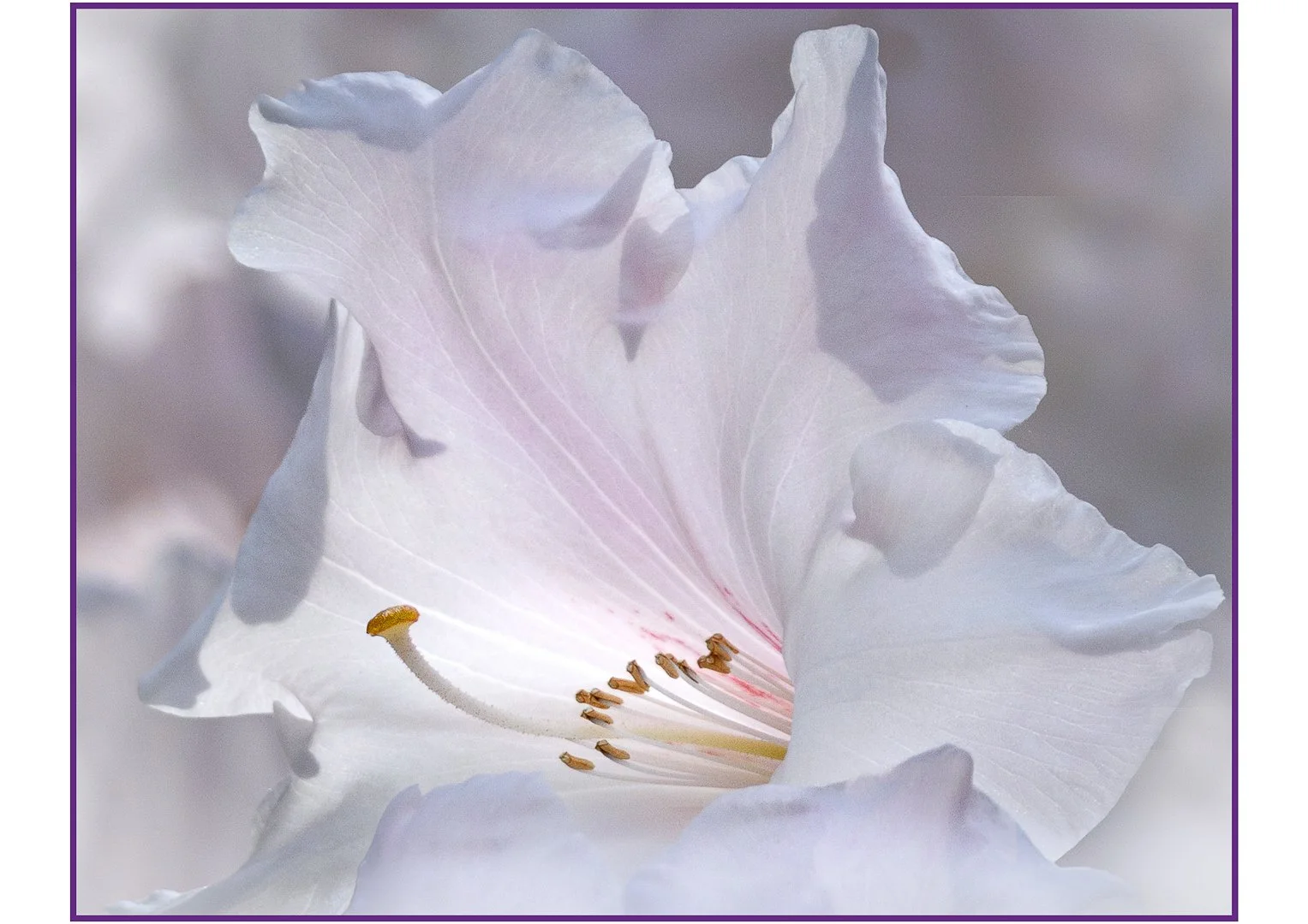 Inner Light - RUNNER UP - Jennie Mursell LRPS