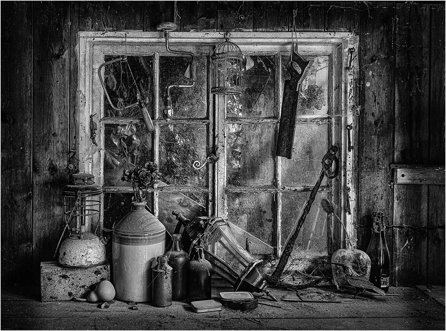 Gathering Dust - Steve Knight