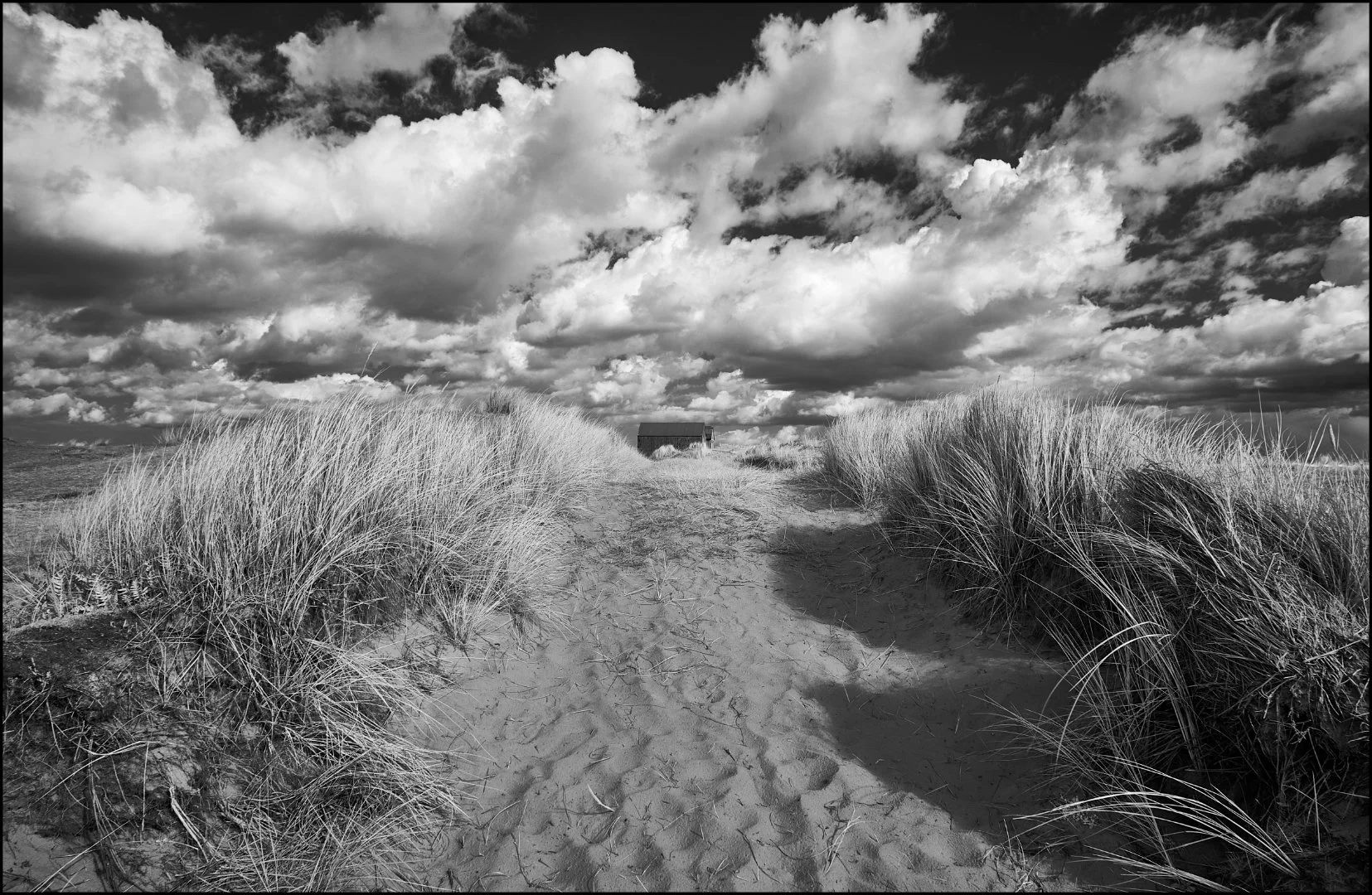 Pathway Through the Dues - Sue Evans ARPS