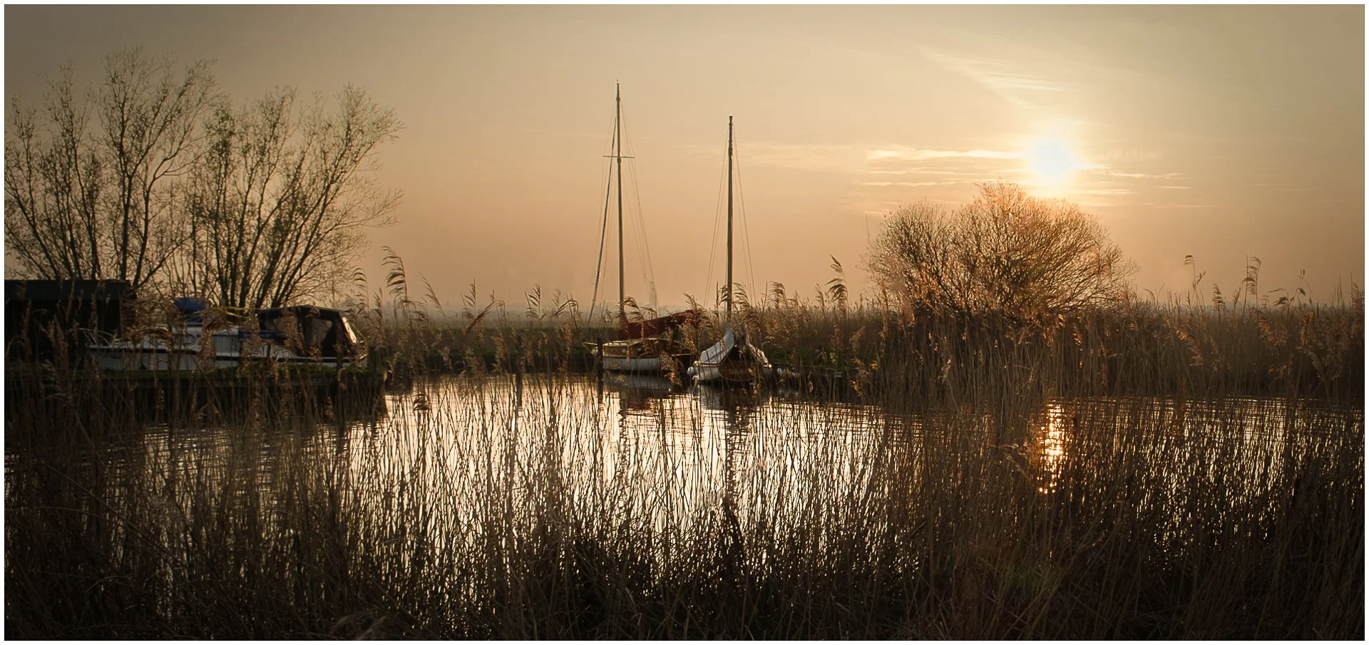 JM Through the reeds