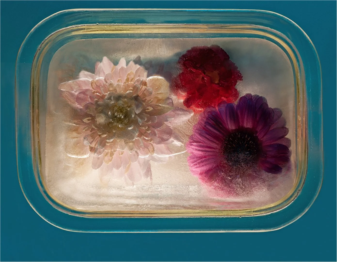 Framed in Ice - Margaret Churchill