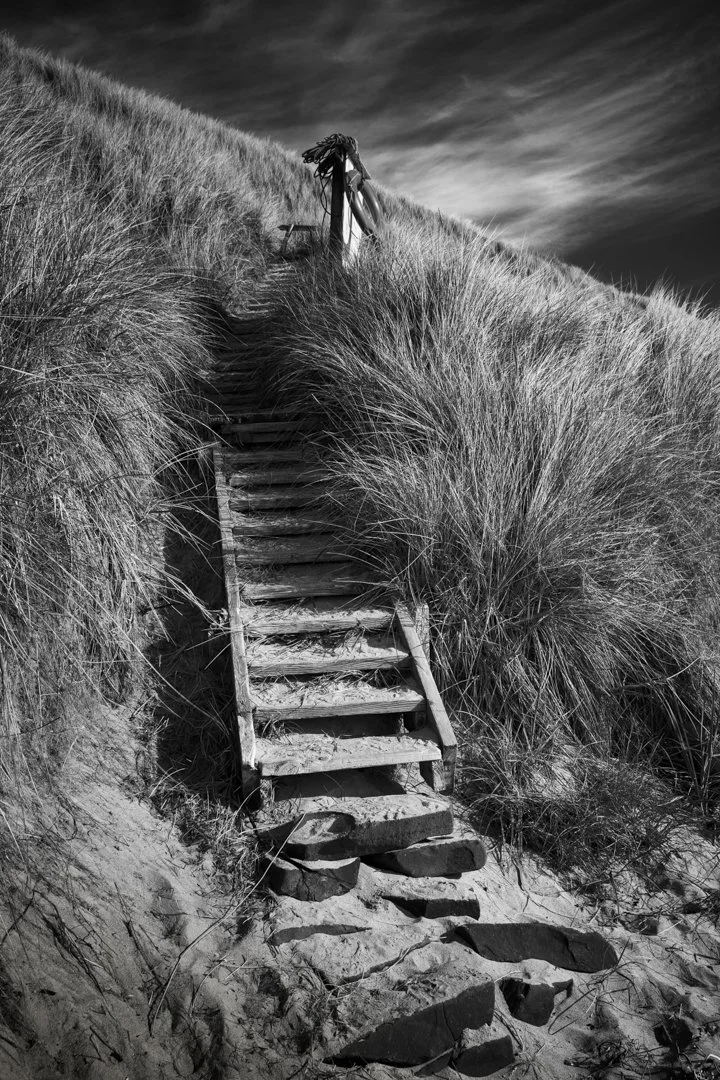 Marram Steps - Louise Dolan