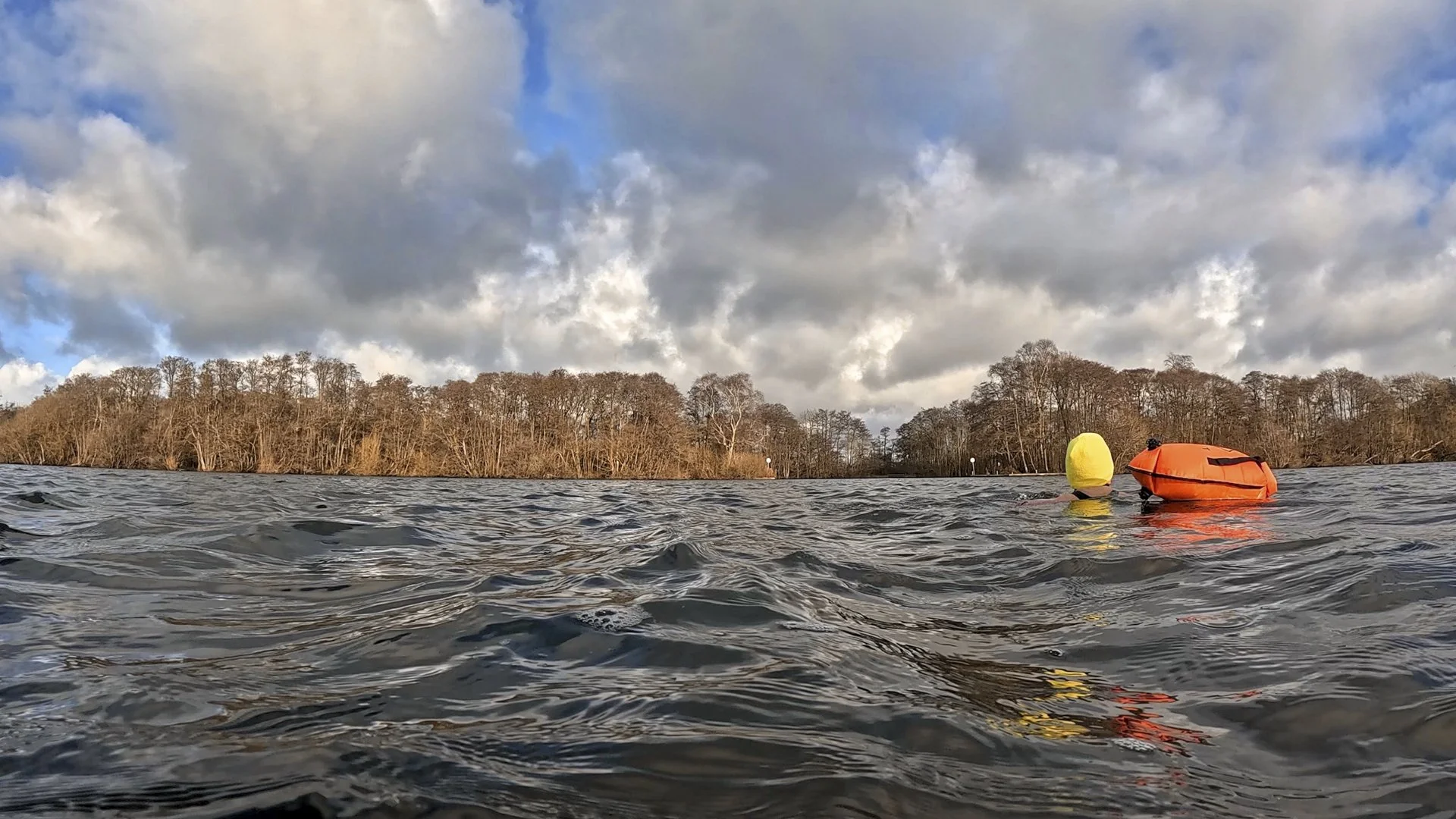 Yellow Hat in 6 Degrees Water - Louise Dolan