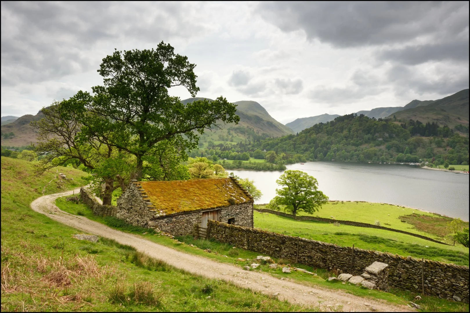 The Barn - Sue Evans