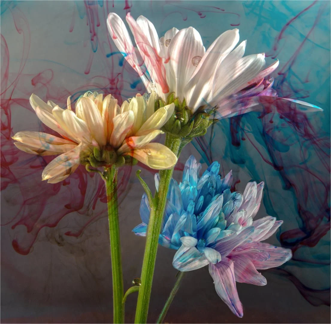 Flowers in water - Maragaret Churchill