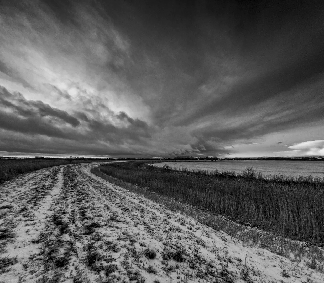 Winner  Winter On The Marsh Louise Dolan